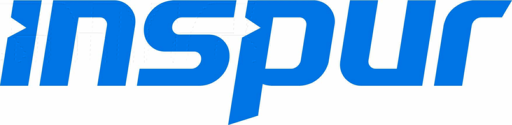 Inspur Logo - 1
