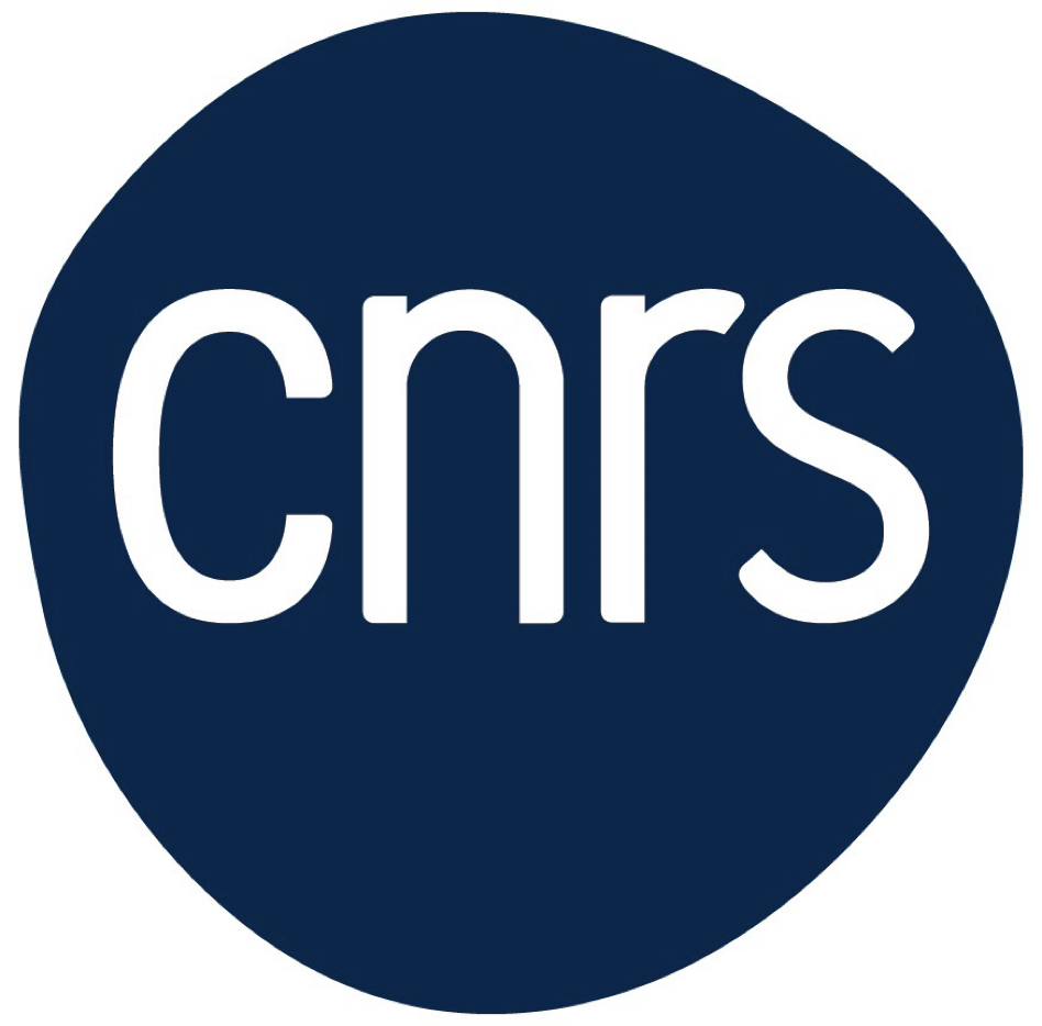 CNRS Logo - 2